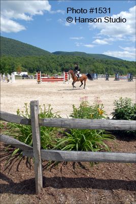 Dorset, VT - Summer Festival Horse Shows - Brown horse turning